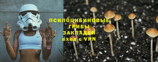 дживик Алексеевка
