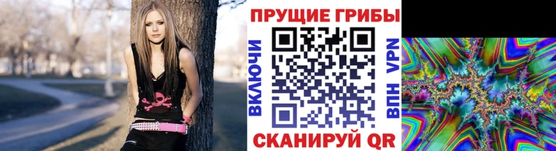 где можно купить   Волхов  ссылка на мегу ссылки  Псилоцибиновые грибы мухоморы 